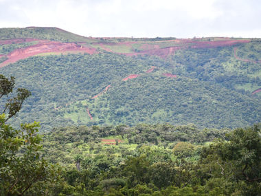 A meadow in the Simandou region