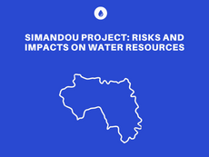 Projet Simandou : Risques et impacts sur les ressources en eau
