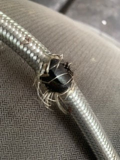 burst flex hose