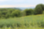 Thumbnail: Arcadia Route