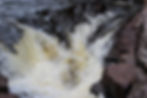 Thumbnail: Black River Falls Grand Portage Tour