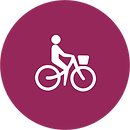VELO.png