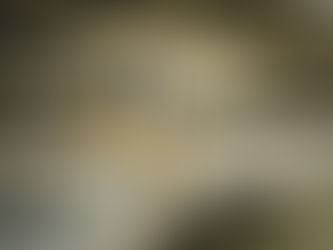 DE STANDAARD - Tunis is the endpoint and starting point of my year