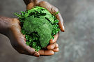 hands-holding-green-earth-symbol-sustainability.jpg