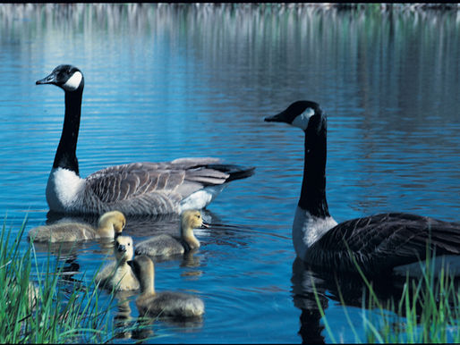 Being Prepared for Real Life