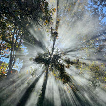 Life is An Invitation