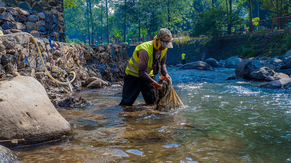 rinaldi-akbar-GXsW5-a2Ejo-unsplash