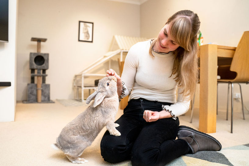 Maple, Sparrow-015.jpg