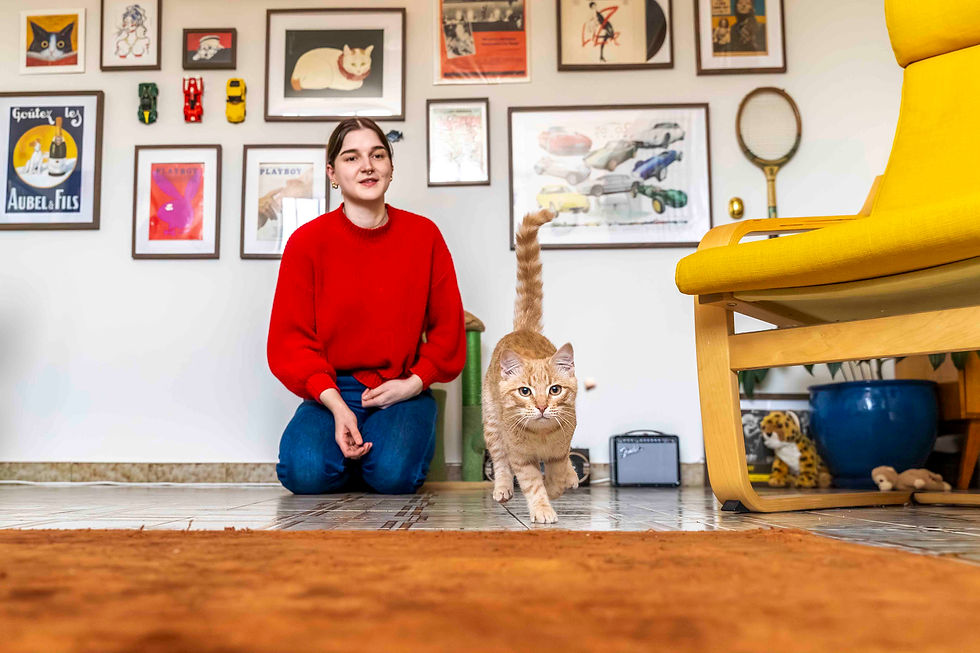 Young kitten chasing a treat during an in-home cat photography session in Sydney.