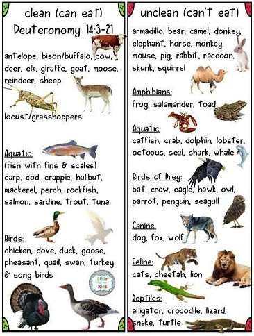 can eat can not eat