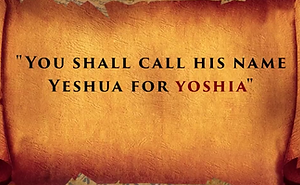 Screenshot 2025-11-09 6.51.52 PM.png