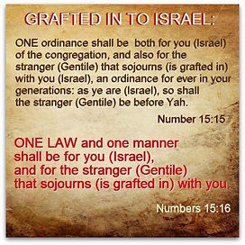 One law for the Jew and Gentile stranger