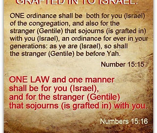 One law for the Jew and Gentile stranger