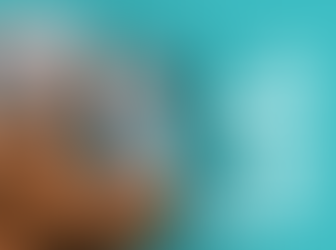 the core basics that every small business should have firmly in place