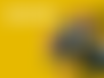 SEO vs. PPC: Marathon or Sprint?