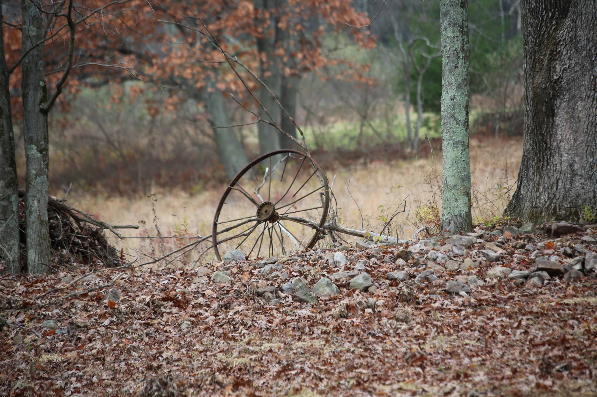 Beiler Insurance Agency Gap, PA 17527