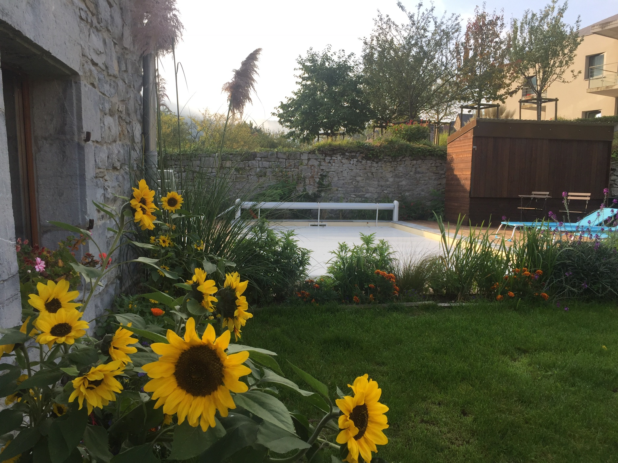 Le jardin
