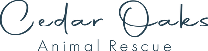 Support Cedar Oaks Animal Rescue - Site Asset 1 copy.png