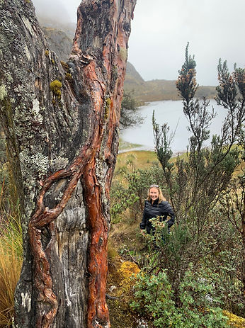 El Caja National Park Ecuador
