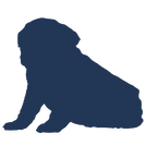 Buster icon 5.png