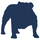 Buster icon 2.png