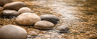 A feather lightly landing ontop of a river