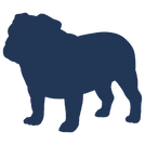 Buster icon 3.png