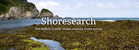 Shoresearch