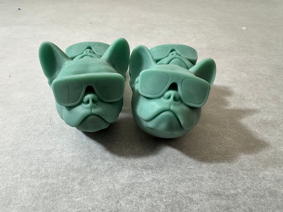 Cool Frenchie