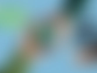 כולם מדברים על הכנסה פסיבית אבל מה עם ההוצאה הפסיבית ? ואיך מנהלים אותה באחריות אישית וסביבתית על כדור הארץ