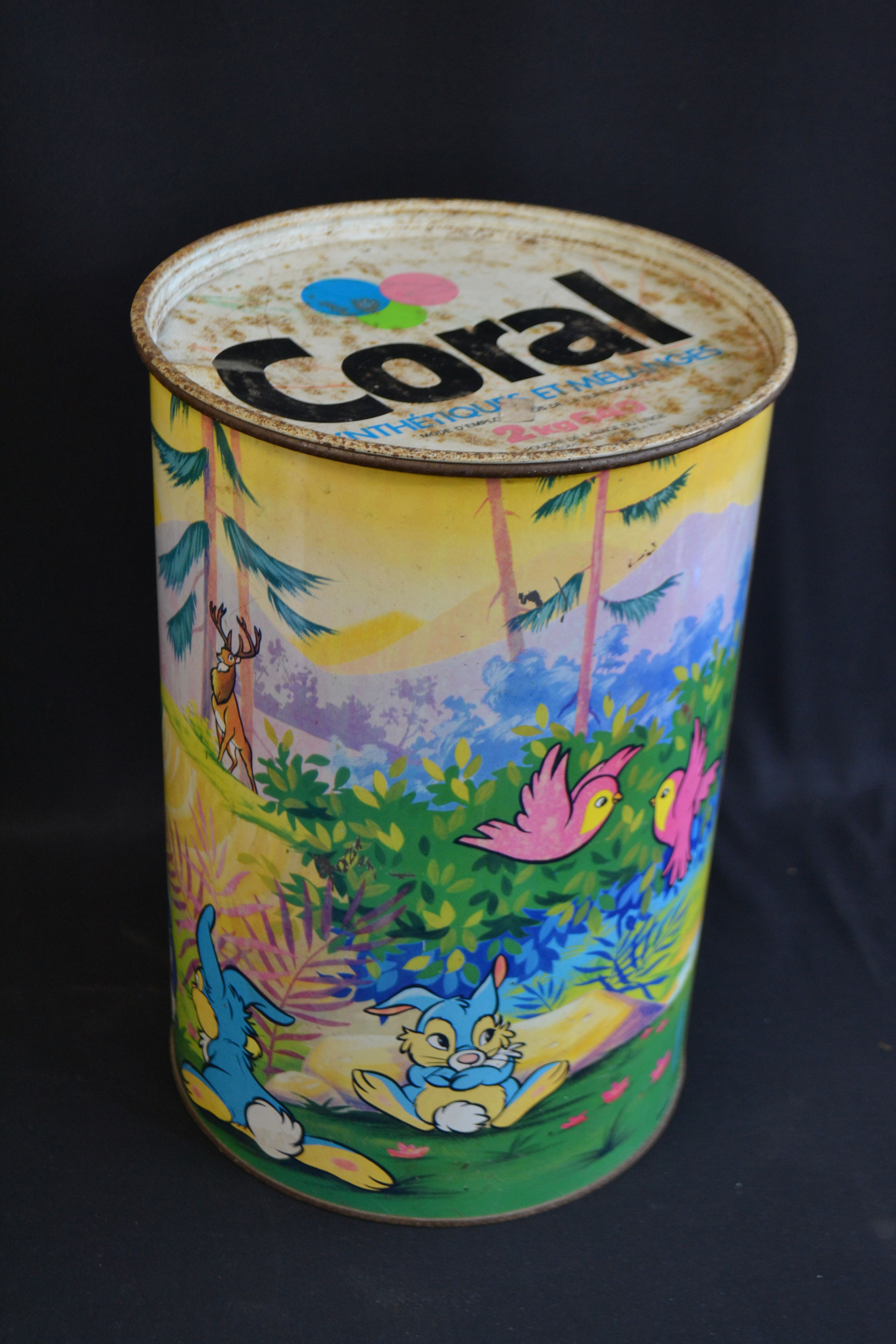 Boite de lessive Coral Disney