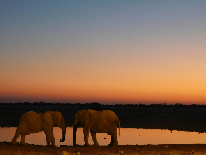 4 Day Tanzania Safari from Zanzibar