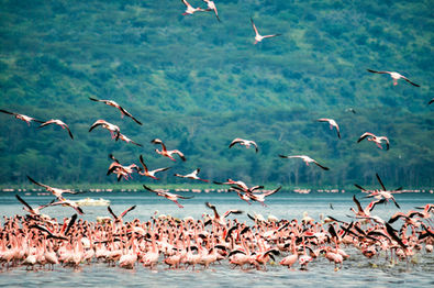 Serengeti National Park
