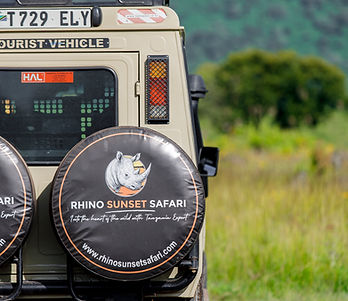 2 Day Tanzania Safari from Zanzibar