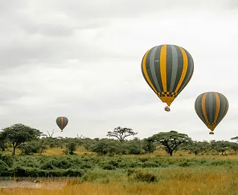 Serengeti Safari