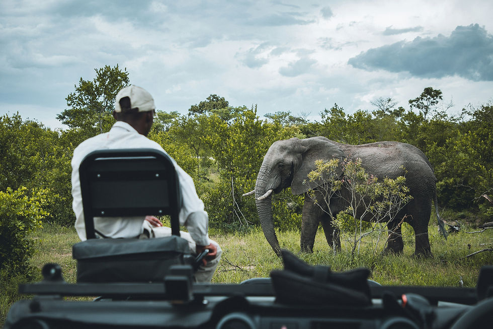 2 Day Serengeti Safari from Zanzibar