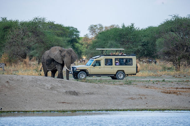 Tanzania Group Safari