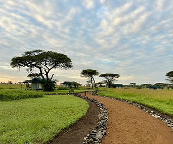 Serengeti Melia Lodge