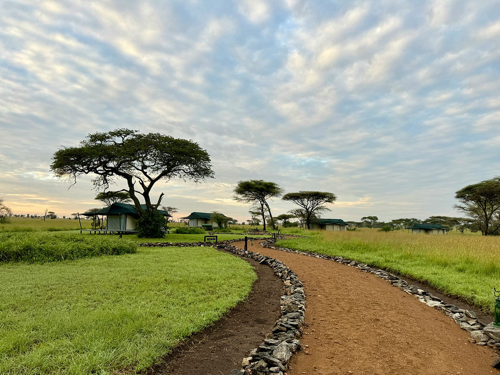 4 Day Serengeti Safari from Zanzibar
