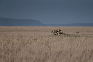Serengeti National Park