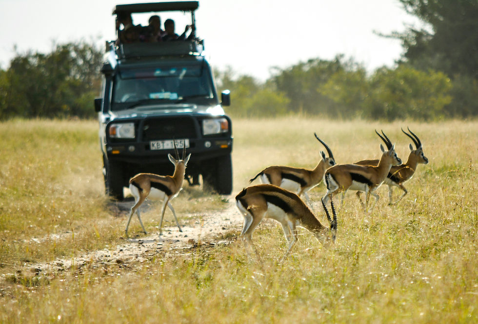 Serengeti National Park