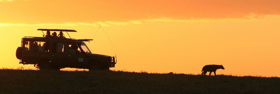 4 Day Serengeti Safari from Zanzibar