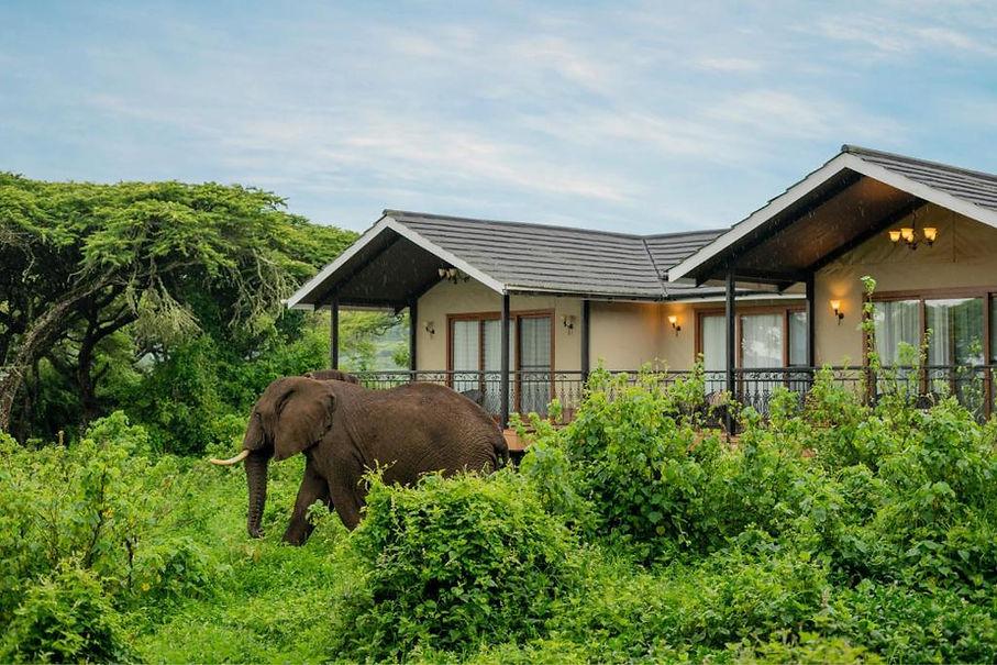 8 Day Tanzania Safari from Zanzibar