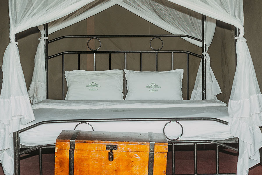 5 Day Luxury Safari from Zanzibar
