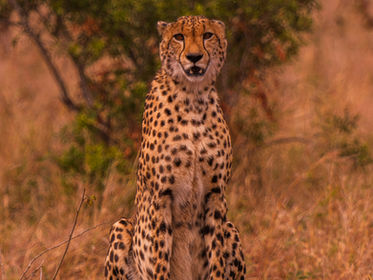 Serengeti National Park