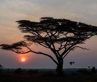 4 Day Tanzania Safari from Zanzibar