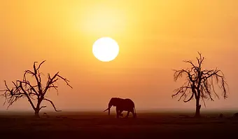 2 Day Tanzania Safari from Zanzibar