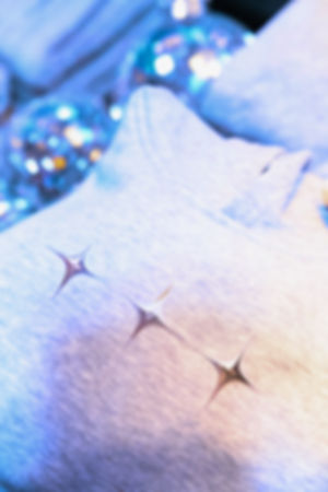 Stardust Hoodie