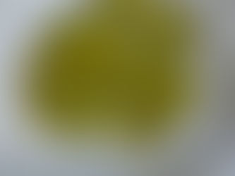 SQUASH