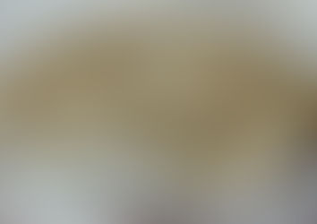 PINEAPPLE CHEESEBALL